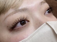 ベリス(Bellis)/フラットラッシュ