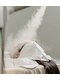 リンカサロン 高田馬場店(Rinka salon)の写真/年齢とともに気になる毛穴悩みに！黒ずみ・開き・ザラつきを整え、なめらかで清潔感のある素肌へ♪