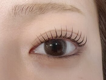 デジール/韓国マツパ