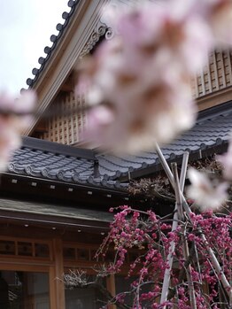 サロン ニコ(salon 25)の写真/"お寺の一角"に【移転リニューアルOPEN！】ゆったりした時の流れを感じる、心安らぐ空間で心も身体も開放♪
