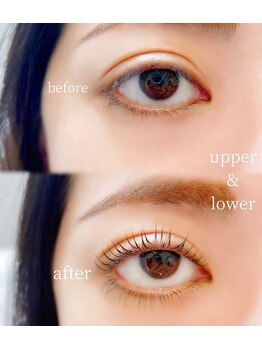 エクリュ 元住吉(ecru.)/上下まつげパーマ