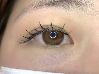 シフ(Sif)の写真/【烏丸エリアにNEW OPEN★"徒歩５分以内】美容室併設サロン◇トレンド感あるまつ毛に仕上げます♪