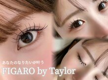 FIGARO by Taylor【フィガロ バイ テイラー】まつげパーマ/マツエク/眉毛