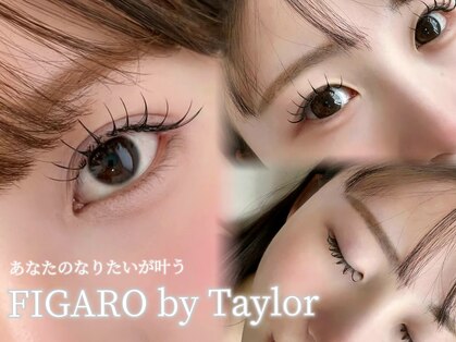 FIGARO by Taylor【フィガロ バイ テイラー】まつげパーマ/マツエク/眉毛の写真
