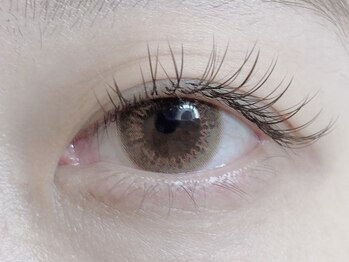 ローラント(LAURENT)/ブラウンフラットラッシュ 120本