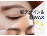 【眉WAX】黄金比率の眉デザイニング＋額のWAX脱毛/1回でツルツル♪¥11,990