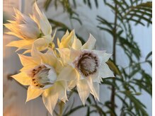 サロンベールカタコリ(BELL)の雰囲気(施術前後でしっかりとしたカウンセリングを行いコース提案します)