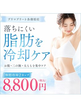 プリマプリート 各務原店の写真/【最強痩身!脂肪冷却2cup¥8800】今がチャンス!!夏に備えるならすぐ始めよう!頑固な二段腹もお任せ★
