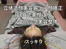 ソウノ 御茶ノ水(Souno)の雰囲気（[小顔・美顔・美姿勢]美容鍼・小顔矯正・ヒップアップ美容整体で）