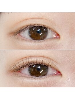 プルメリアラッシュ(PlumeriaLash)/ビューラー式まつげパーマ