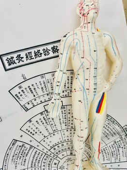 美巡究 南麻布/全身を巡る『鍼灸経絡図』です。
