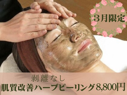 エル(Elle)の写真