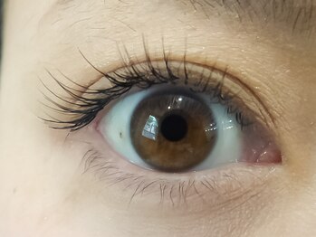 ネイルアンドアイ アミューズ/80本つけた状態