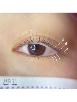ラグジュ 津田沼店(LUXGE)/ラッシュリフト&下まつげパーマ