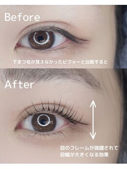 プラスグラッツ 恵比寿(+glatt)/(上)ポッピーロッド&(下)ペッタ