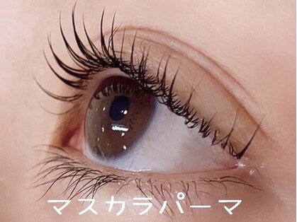 ラシュレ(Rassurer)の写真