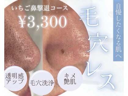 ブリック(BLICK)の写真