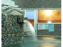 南道後温泉 ていれぎの湯/温泉