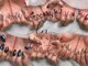 ルアンジュネイル(Luange nail)の写真