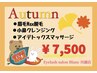 【期間限定】眉毛Wax ＋小鼻クレンジング+アイデトックス　¥7,500