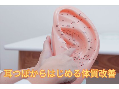 ふーみんの写真