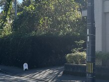 ナゴン(75n.)/サロン入口（日置市方面から）