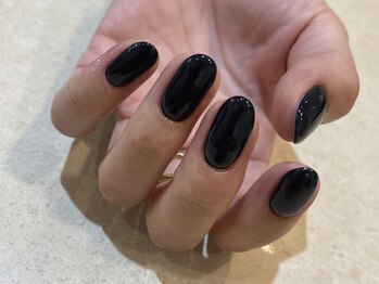 クルネ(QULNE)/ワンカラー/ネイビー