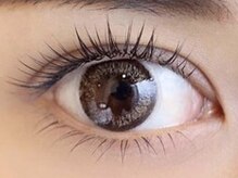 ラッシュ(LASH)/まつげパーマ/立ち上げ