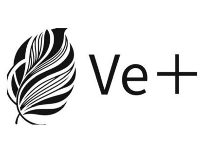 ビプラス(Ve＋)の写真