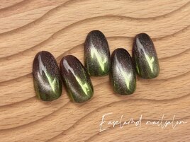 秋冬定額ミディアムプラン