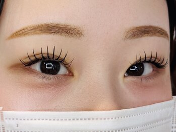 シェルウェリナ(SHeLL WELINA)/フラットラッシュ