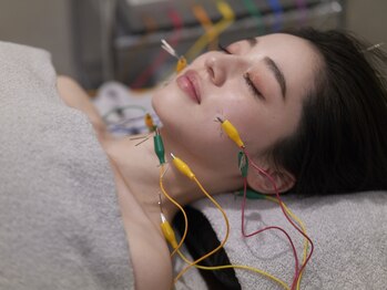 銀座ハリッチ 京都河原町院の写真/【本格エイジングケア】年齢と共に気になるハリ不足を徹底ケア◎内側から輝く美肌へ導きます