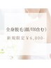 【新規】初回限定6000円 美肌ケア全身脱毛(顔・VIO含む)特別クーポン