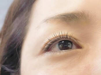 ハール(haar)/【flat lash】