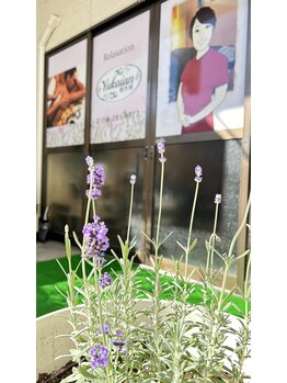 癒快庵/お店の入り口