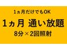 【1ヶ月通い放題】1ヶ月のみも◎ 8分×2回照射　¥11000（税込）