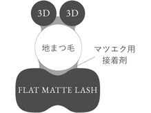 ヴィライズ 船橋(VIRISE)/バインドロックとは