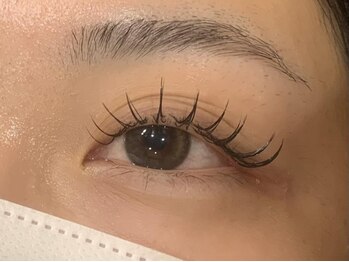 アングゥ ウル(ungu ul)/セーブルラッシュ100本