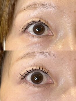 ダーム ド ローズ(Dame de rose)/【まぶたが上がるまつ毛パーマ】