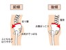 「学割U24」女性限定◎骨盤ケア☆放置すると妊娠&出産まで影響 30分 ¥3000