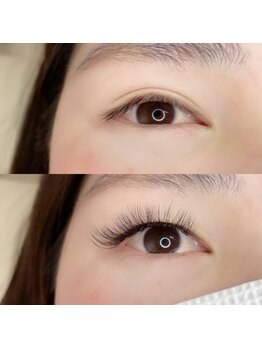 ルピナス(Lupinus)/LEDボリュームラッシュ500本