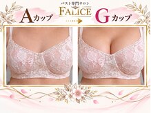 フェリーチェバスト 姫路店(FALICE)の雰囲気（結果重視のバストアップ・バストケアマシーン×手技の施術です。）