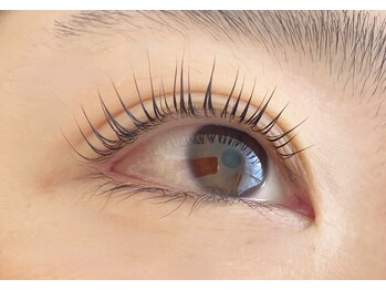 シマー(shimmer)/パリジェンヌラッシュリフト