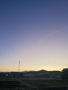 チェッコリ(CHECCOLY)/朝散歩♪