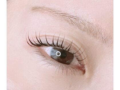 ココシア(cococia)の写真