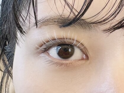 エメ(aimer)の写真