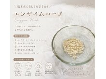 リエイト(Re:eight)/エンザイム（酵素）ハーブ