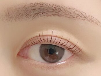 チュニ バイ チッチ 小倉店(chuni by chicchi)の写真/流行りの韓国まつ毛パーマが¥3480~で叶う♪ナチュラルや束感など、様々なデザインを試しやすい♪