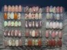 【全員】定額Bコース￥6200