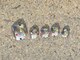 カニカニネイル 日本橋人形町(KANIKANI NAIL)の写真